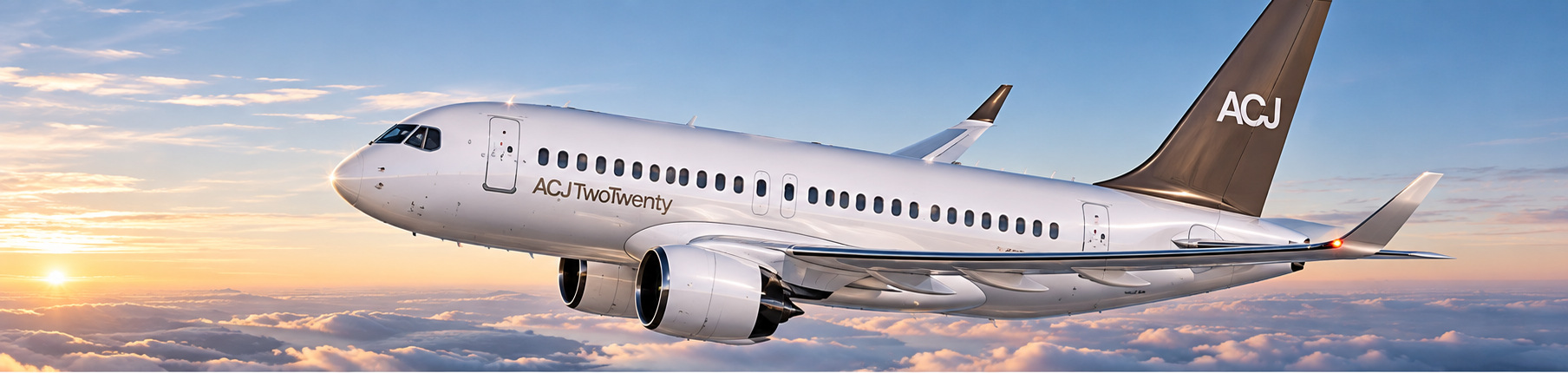 Illustrative airliner-derived business aircraft in flight